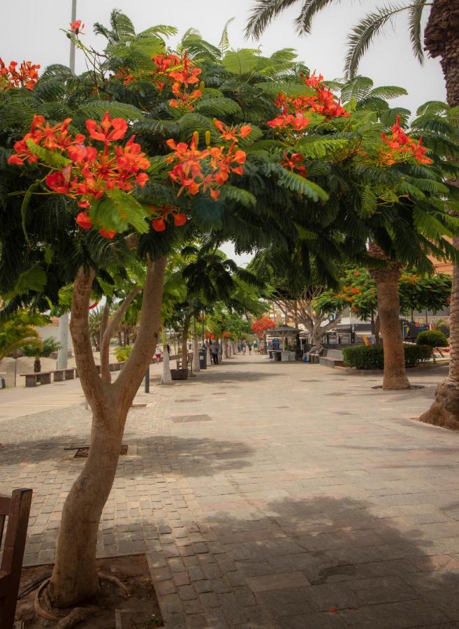 El Carmen Beach Apartment لوس كريستيانوس المظهر الخارجي الصورة
